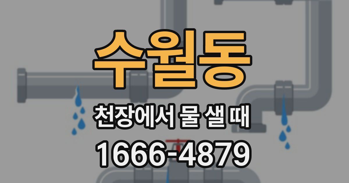 수월동 천장에서 물 샐 때