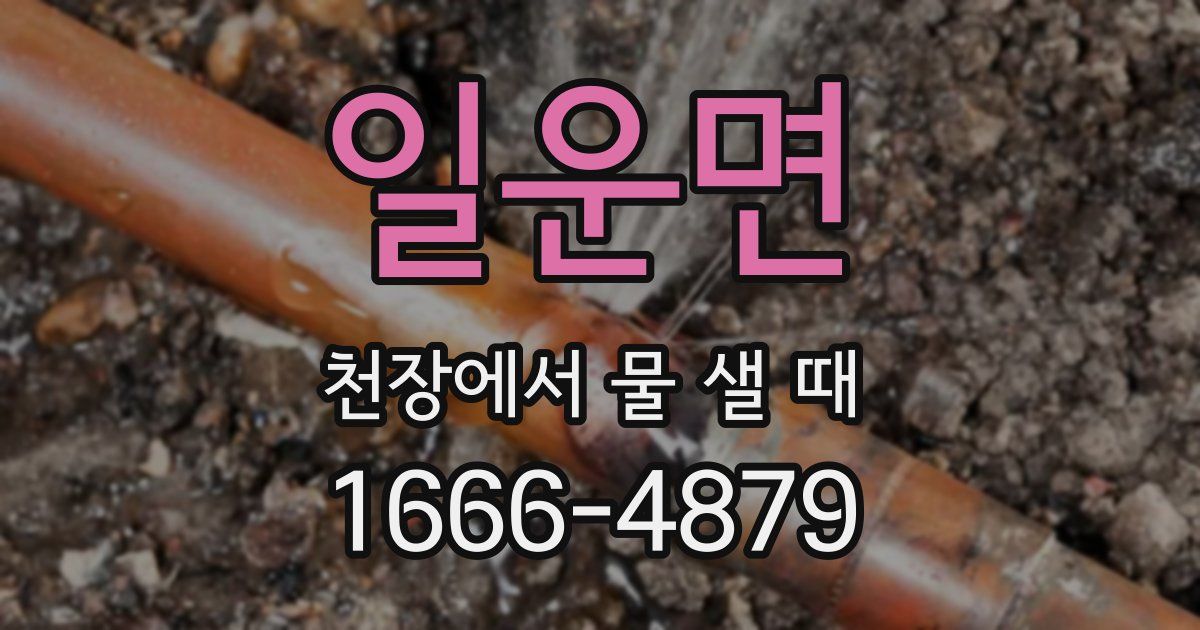 일운면 천장에서 물 샐 때