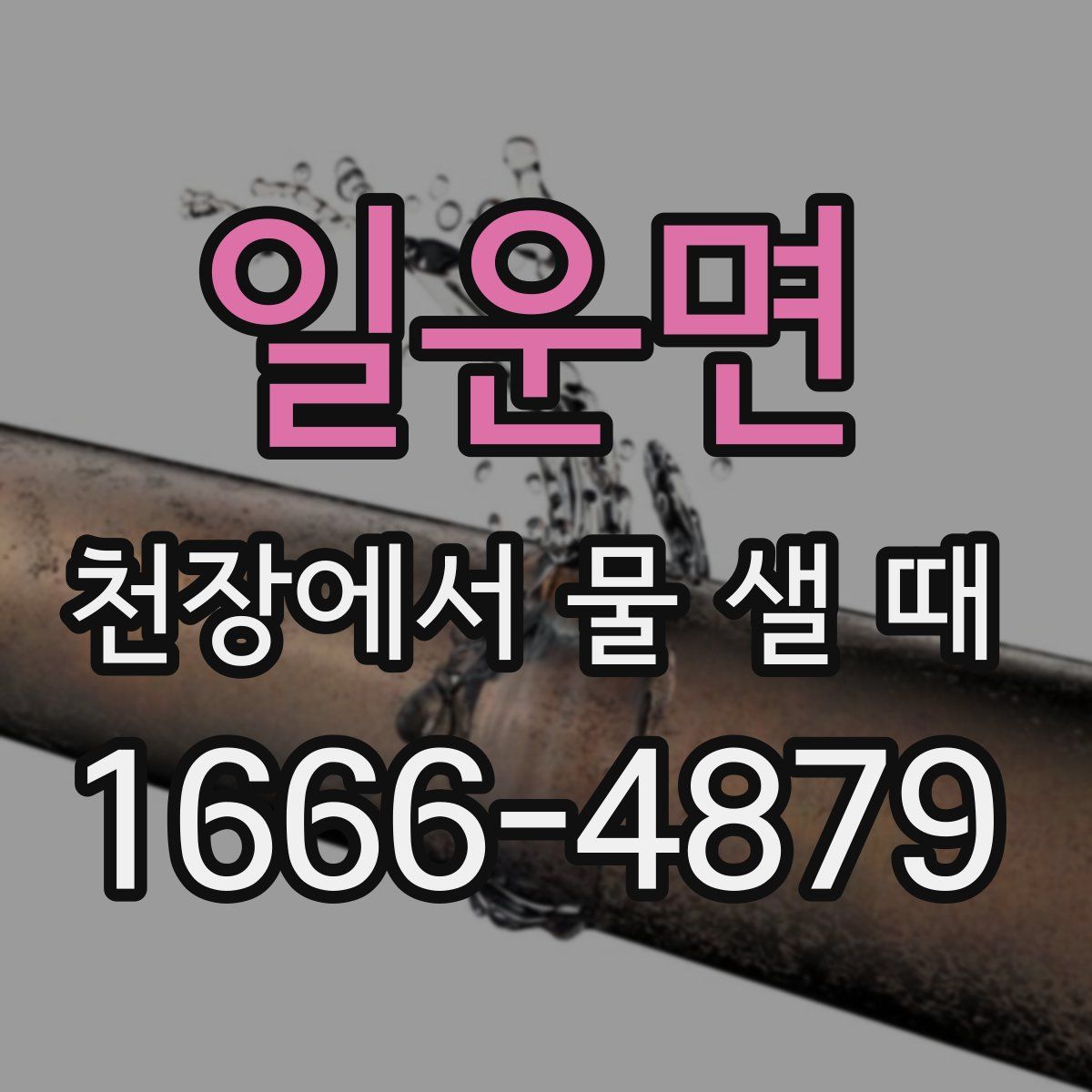 일운면 천장에서 물 샐 때