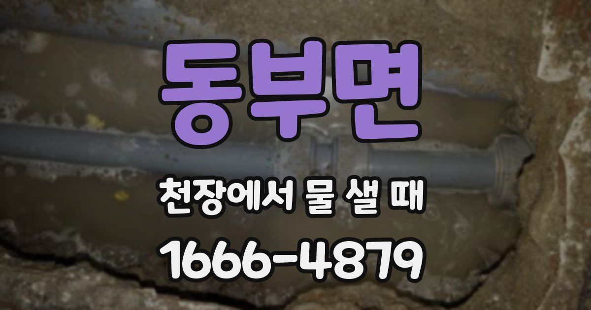 동부면 천장에서 물 샐 때