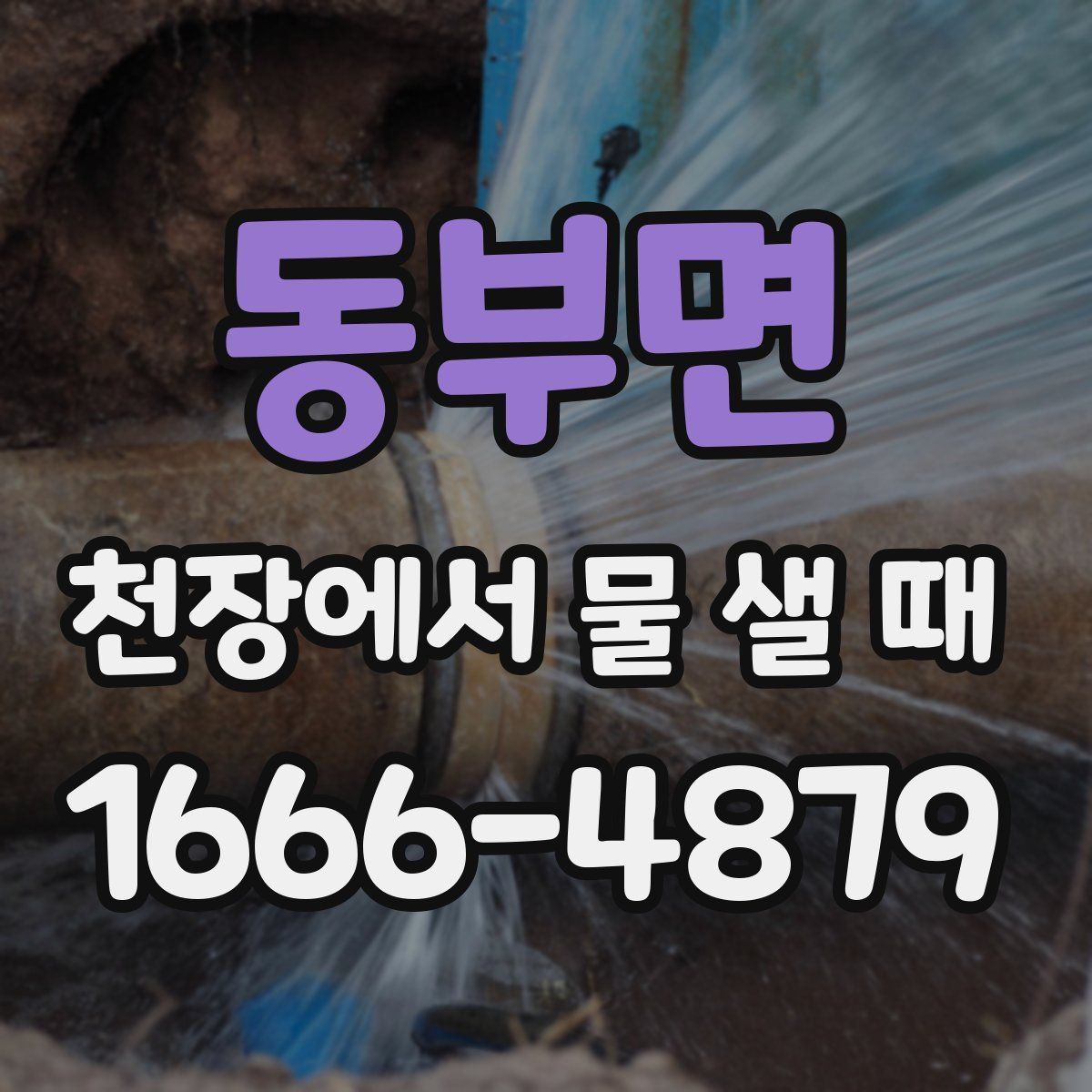 동부면 천장에서 물 샐 때