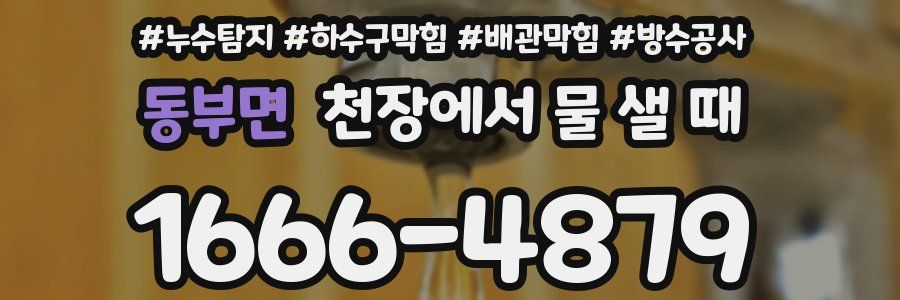 동부면 천장에서 물 샐 때