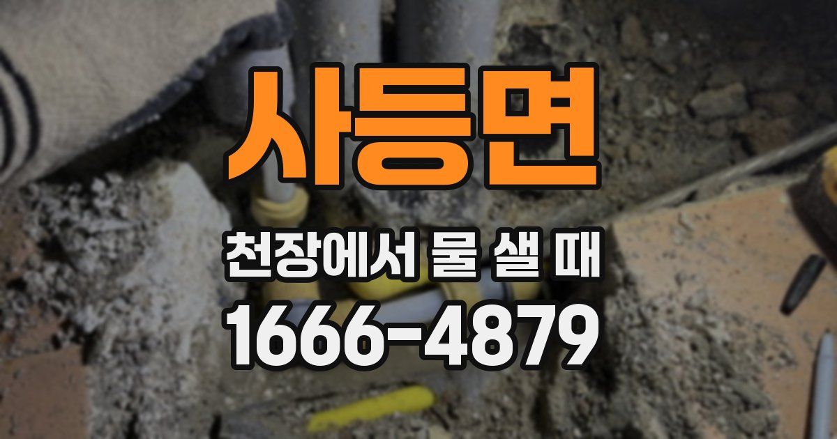 사등면 천장에서 물 샐 때