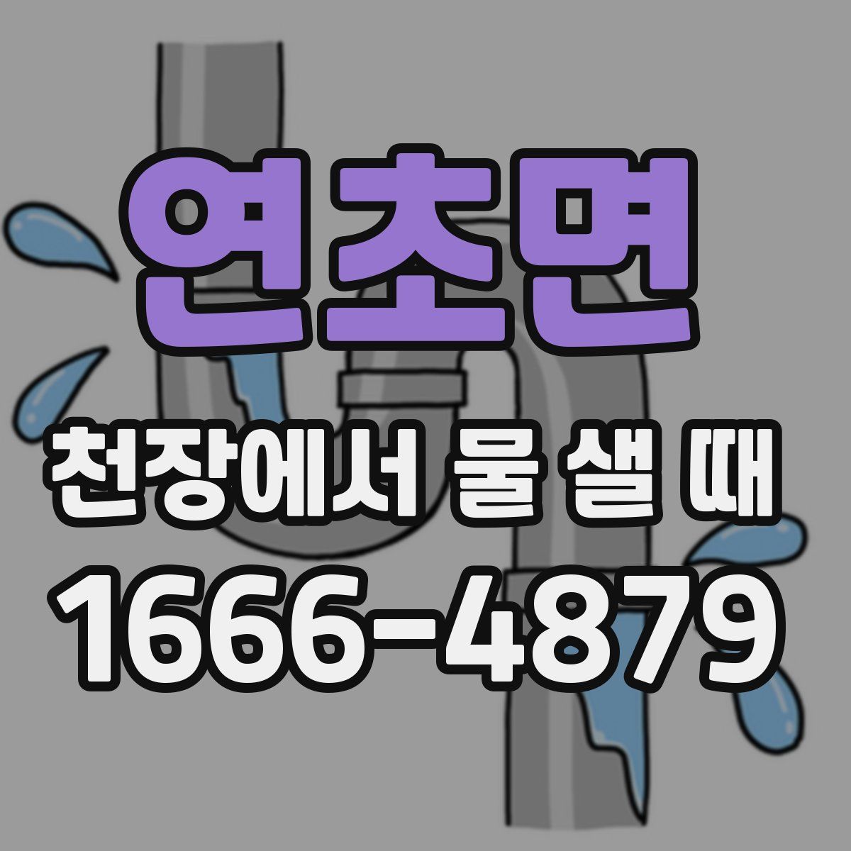 연초면 천장에서 물 샐 때