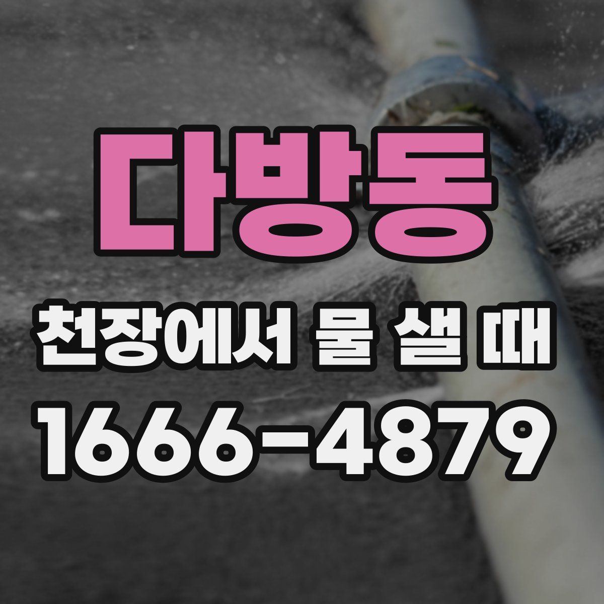 다방동 천장에서 물 샐 때