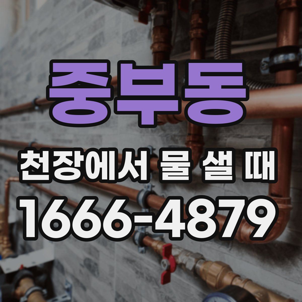 중부동 천장에서 물 샐 때