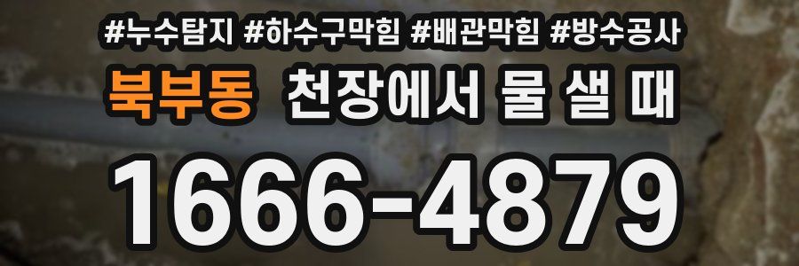 북부동 천장에서 물 샐 때