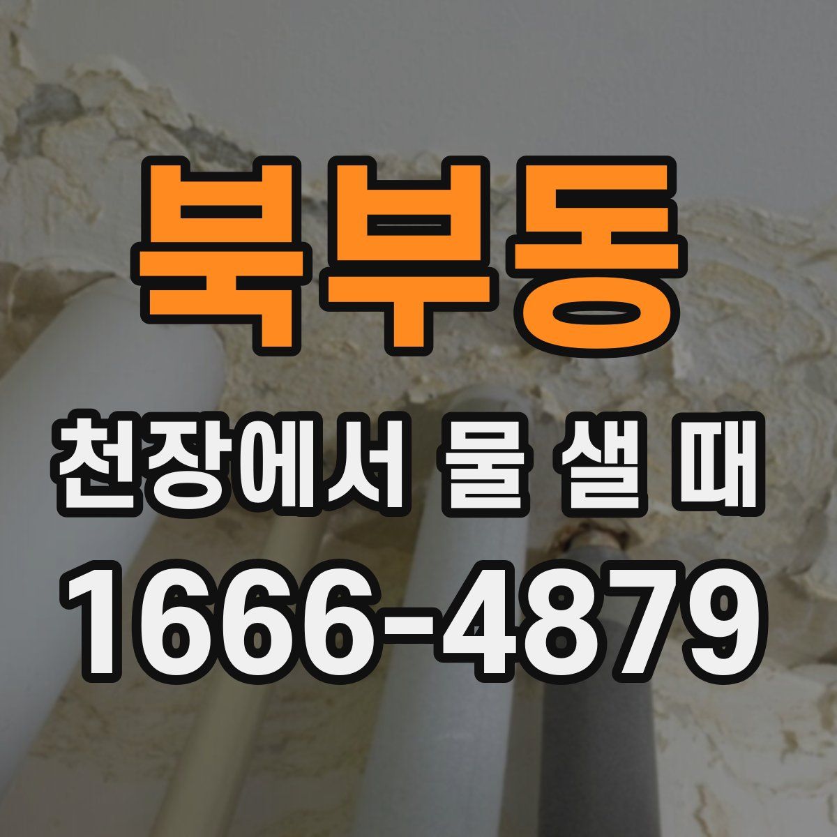 북부동 천장에서 물 샐 때