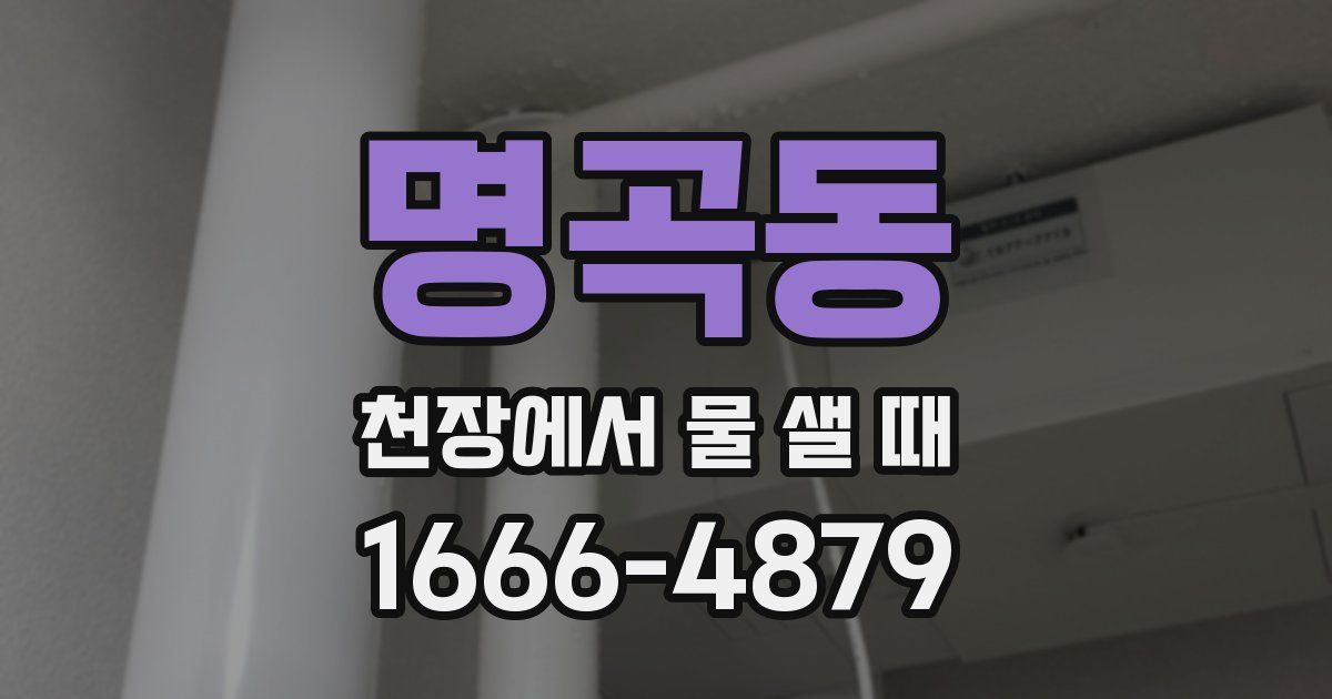 명곡동 천장에서 물 샐 때