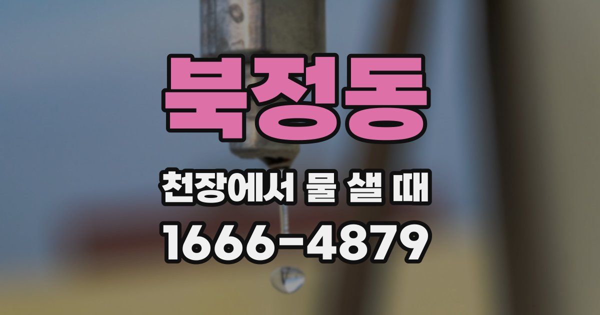 북정동 천장에서 물 샐 때
