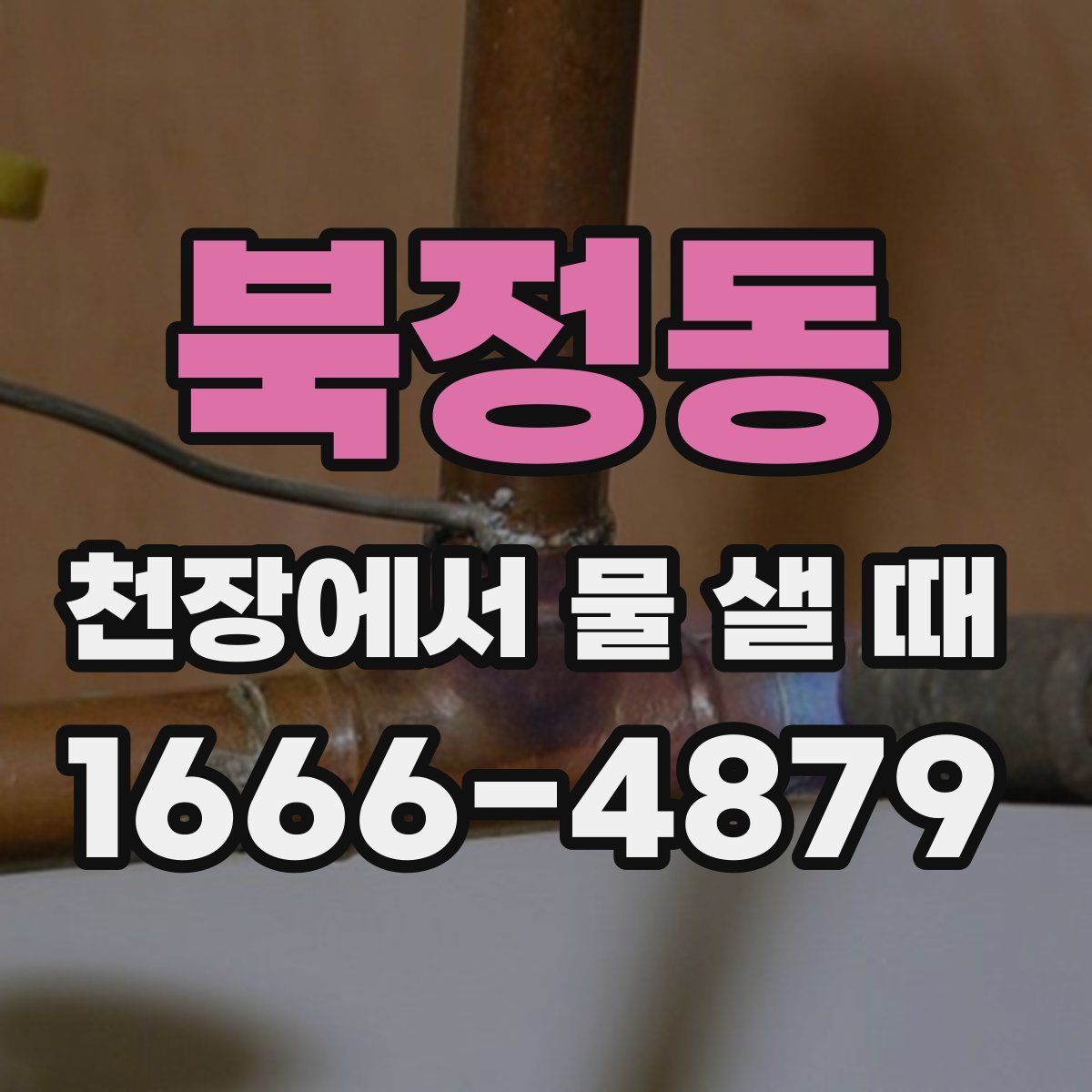 북정동 천장에서 물 샐 때