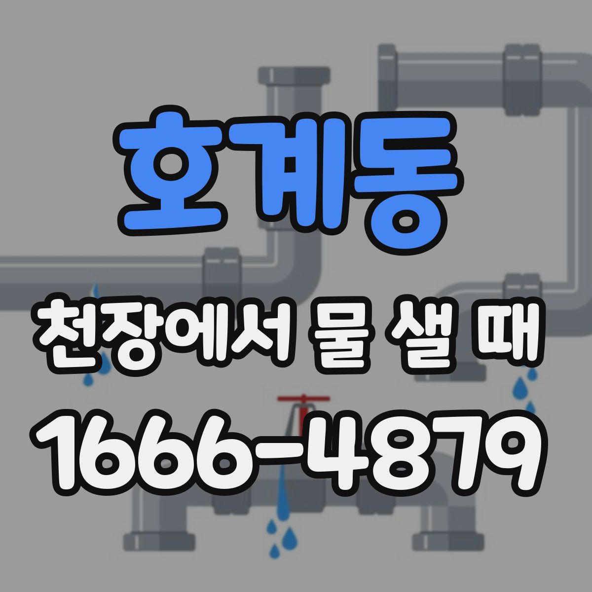 호계동 천장에서 물 샐 때