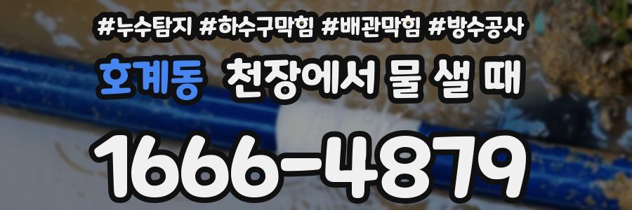 호계동 천장에서 물 샐 때