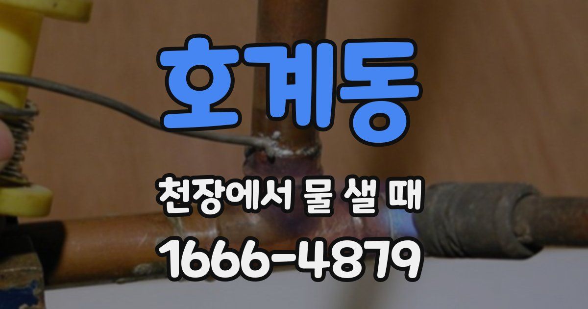 호계동 천장에서 물 샐 때