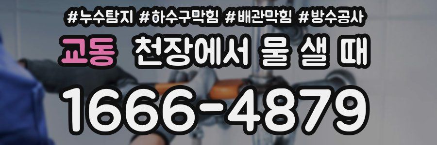 교동 천장에서 물 샐 때