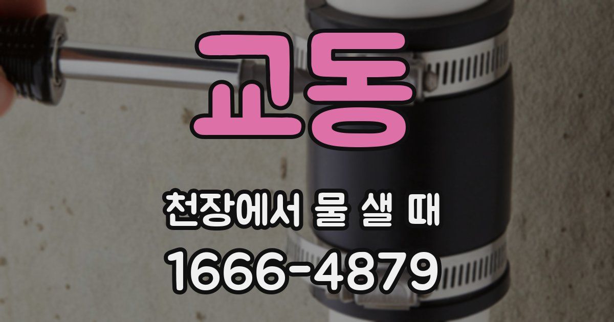 교동 천장에서 물 샐 때