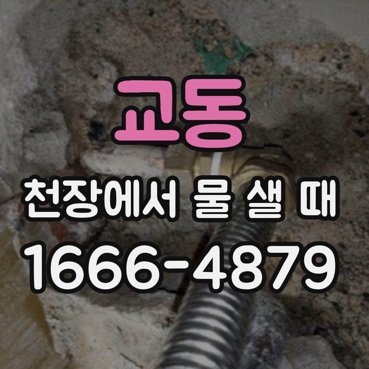 교동 천장에서 물 샐 때