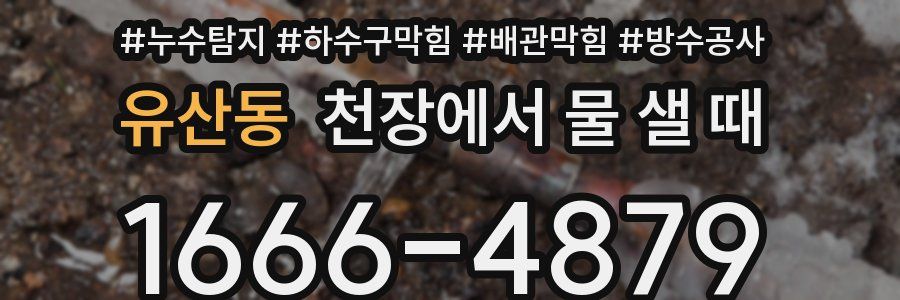 유산동 천장에서 물 샐 때