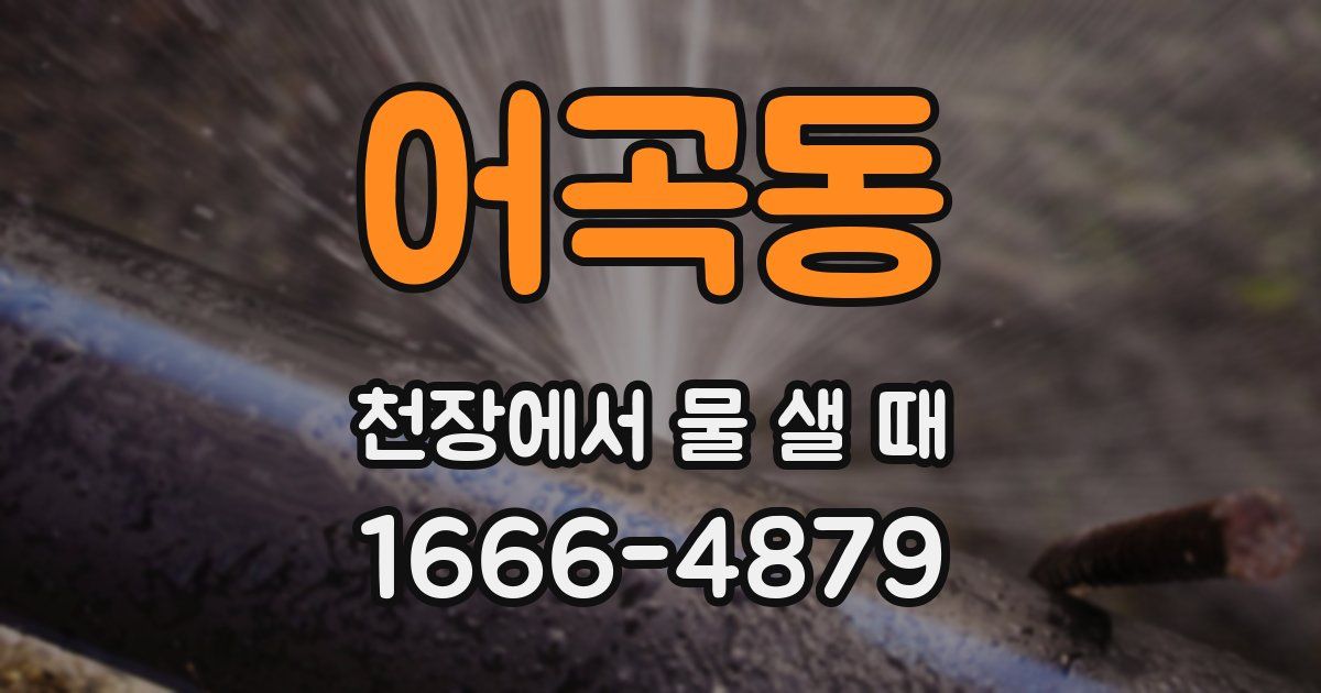 어곡동 천장에서 물 샐 때