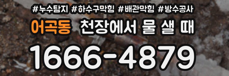 어곡동 천장에서 물 샐 때