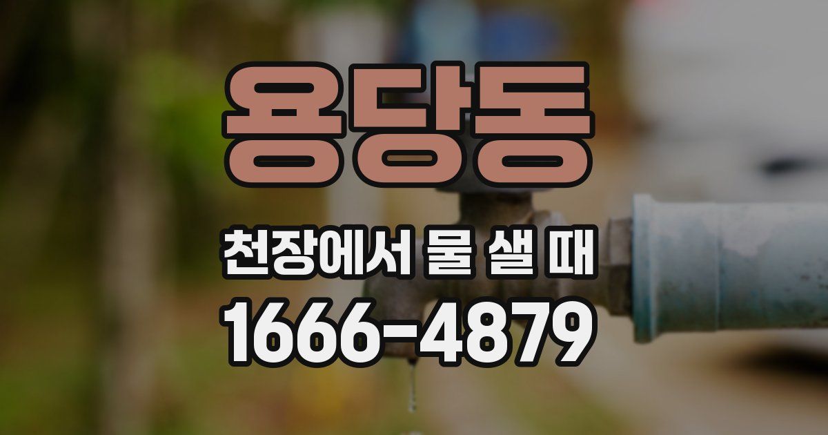 용당동 천장에서 물 샐 때