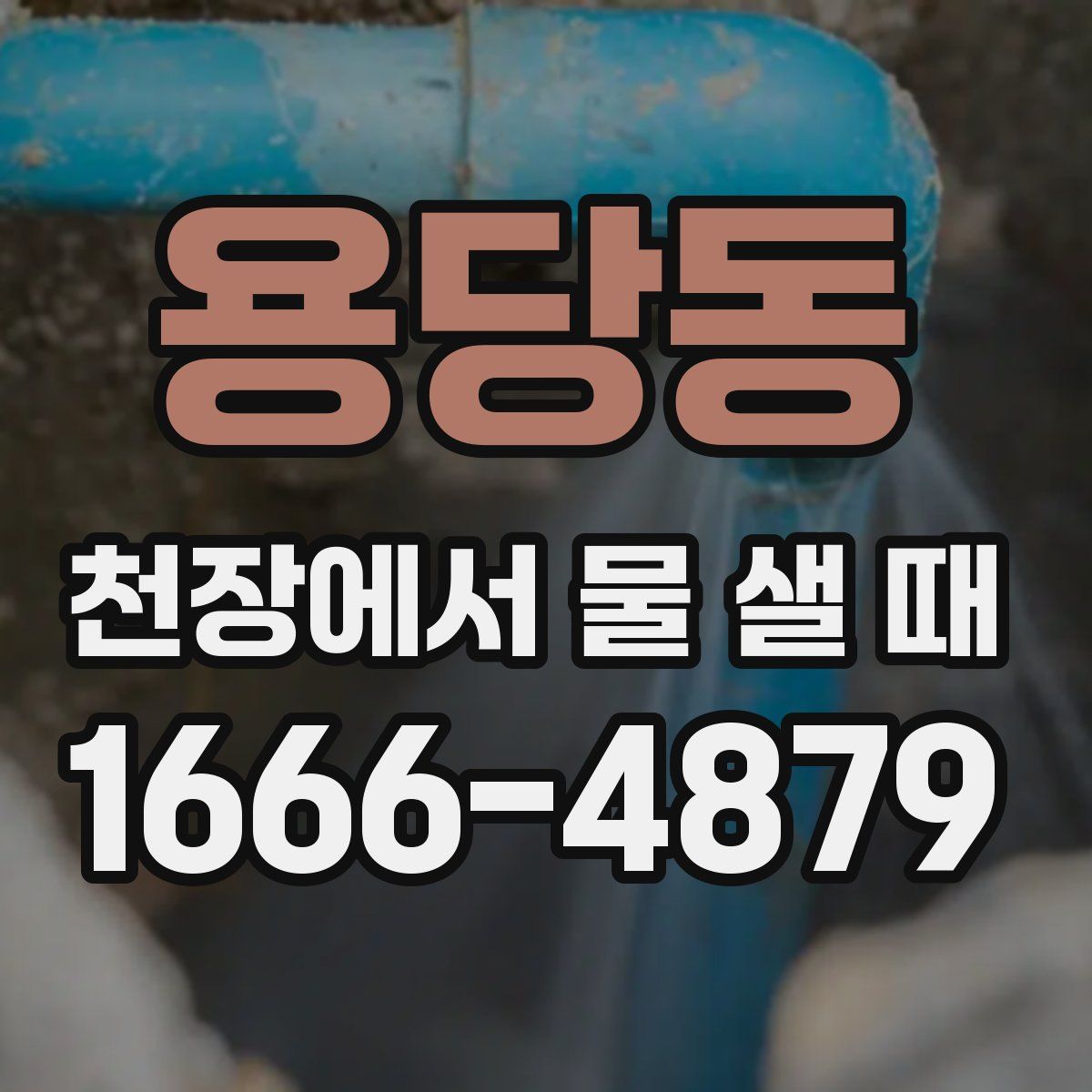 용당동 천장에서 물 샐 때