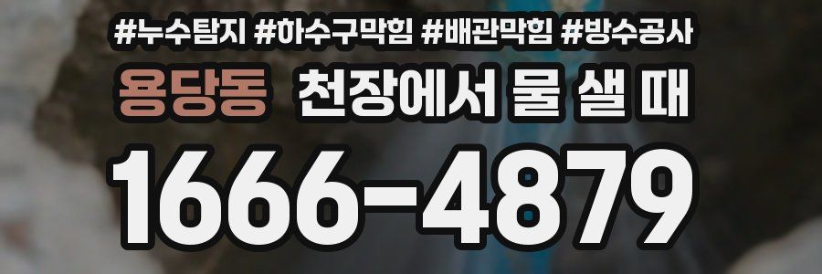 용당동 천장에서 물 샐 때