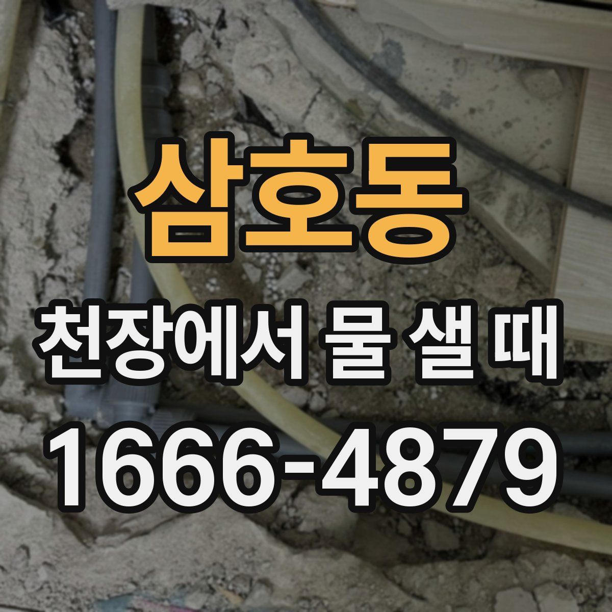 삼호동 천장에서 물 샐 때