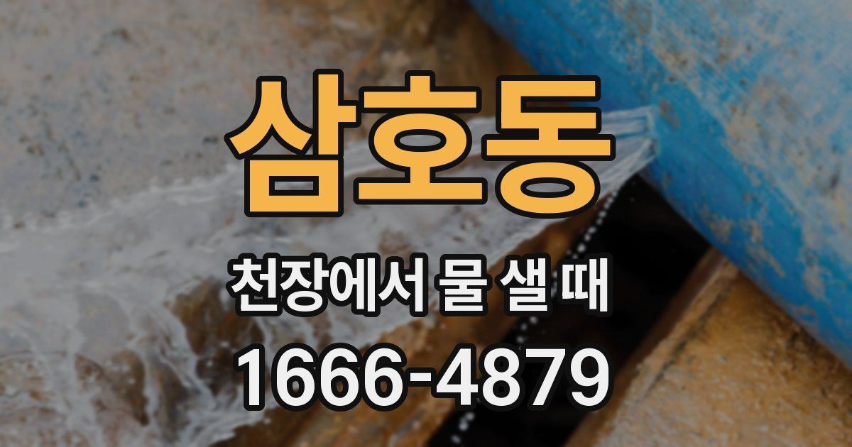 삼호동 천장에서 물 샐 때