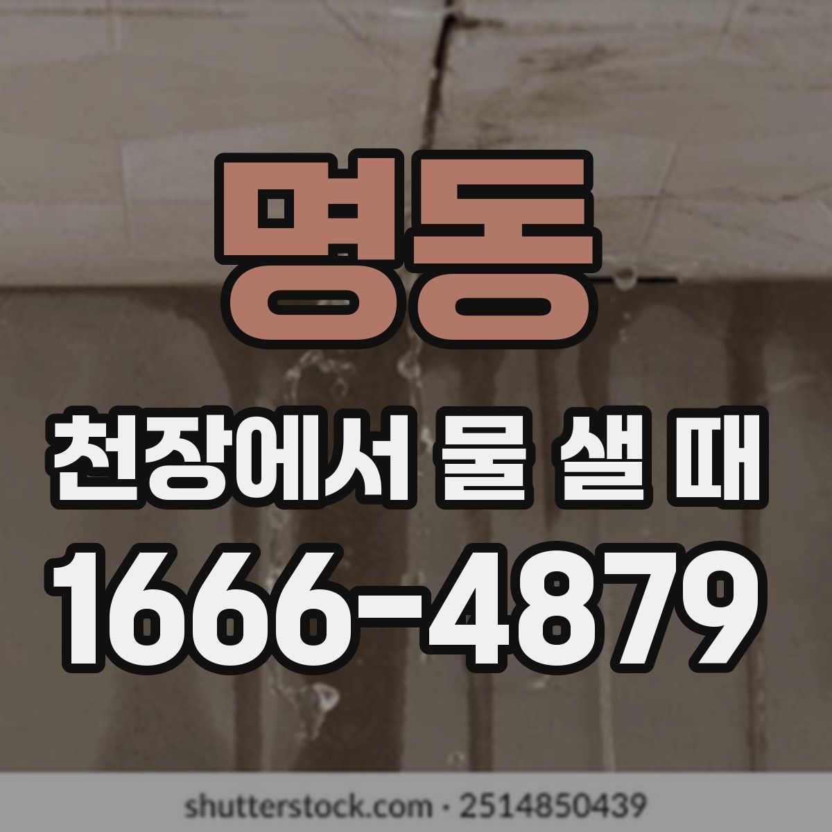 명동 천장에서 물 샐 때