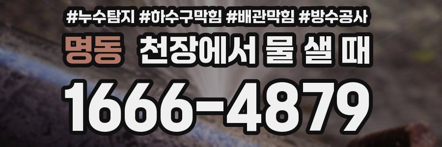명동 천장에서 물 샐 때