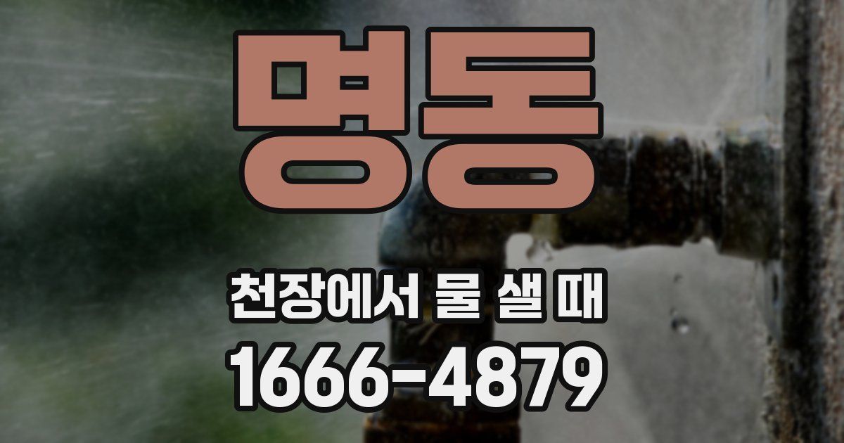 명동 천장에서 물 샐 때