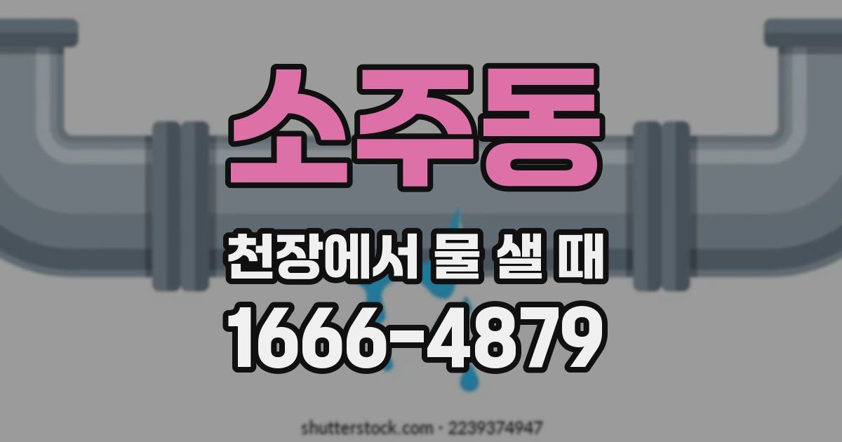 소주동 천장에서 물 샐 때