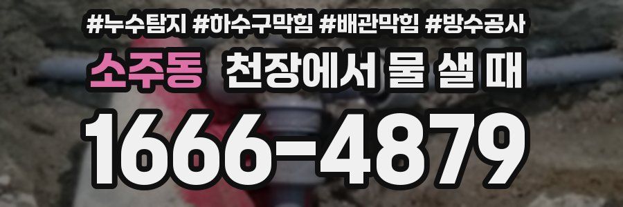 소주동 천장에서 물 샐 때