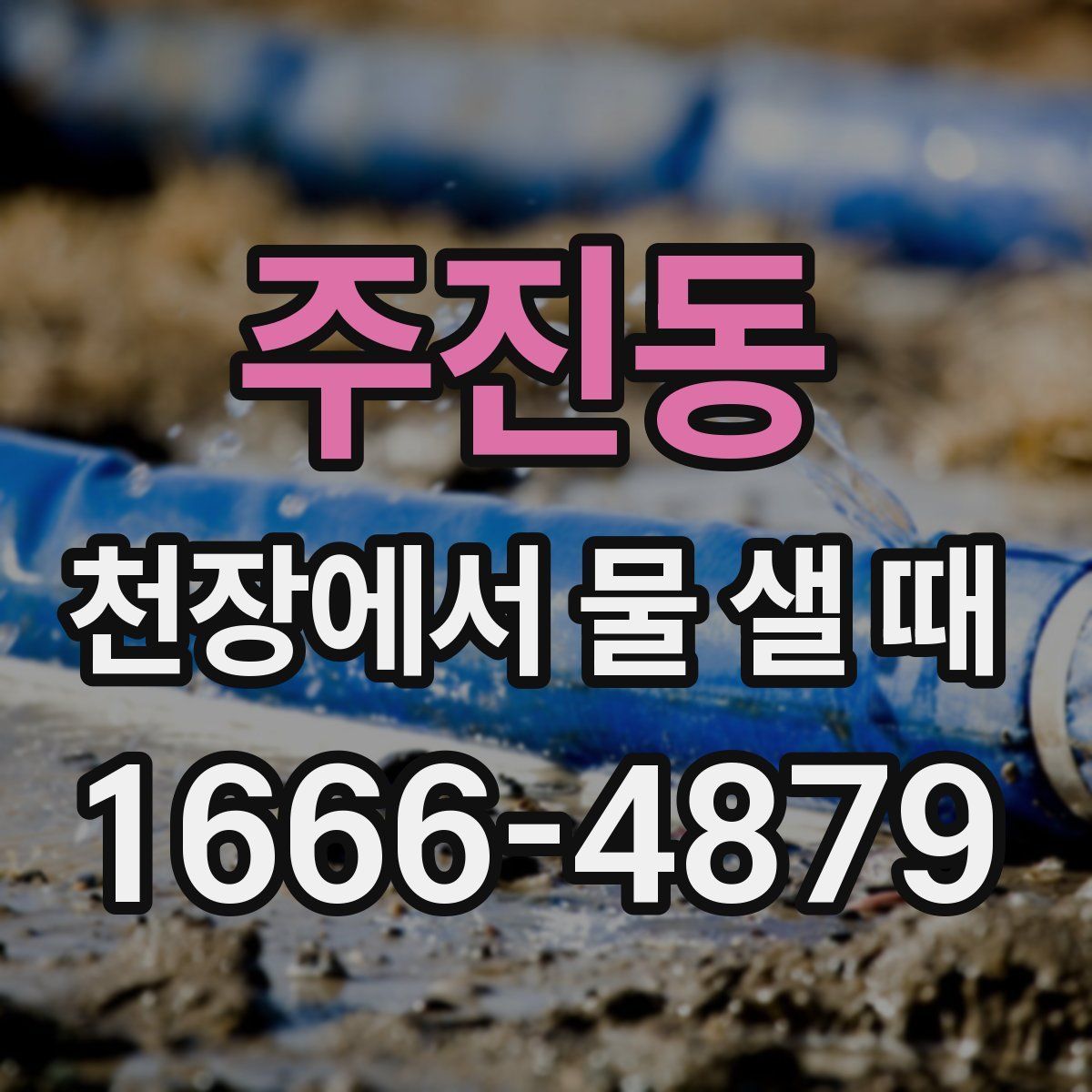 주진동 천장에서 물 샐 때