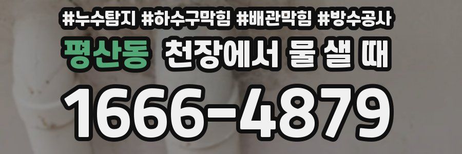 평산동 천장에서 물 샐 때