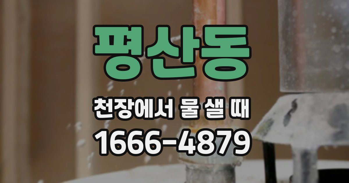 평산동 천장에서 물 샐 때