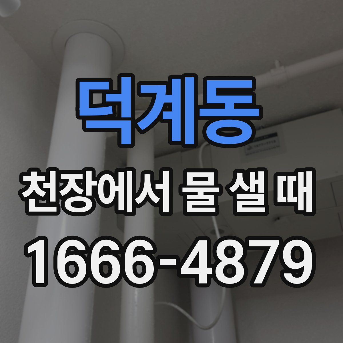 덕계동 천장에서 물 샐 때