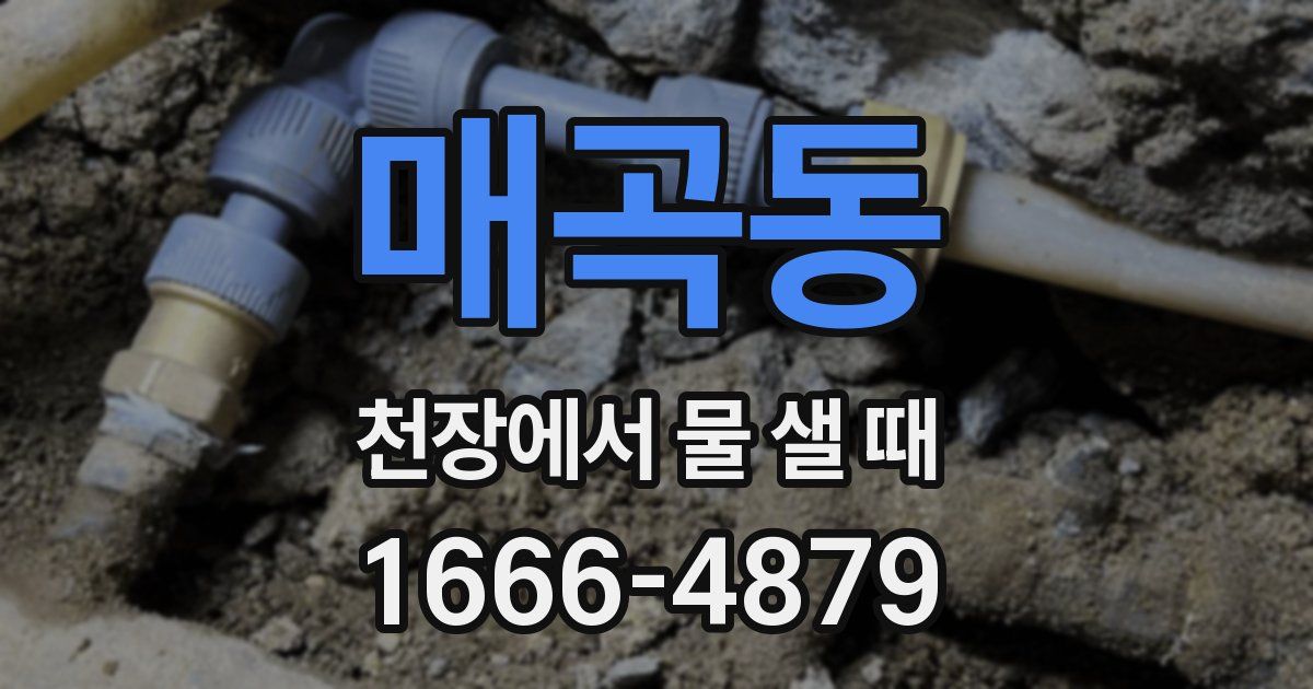 매곡동 천장에서 물 샐 때