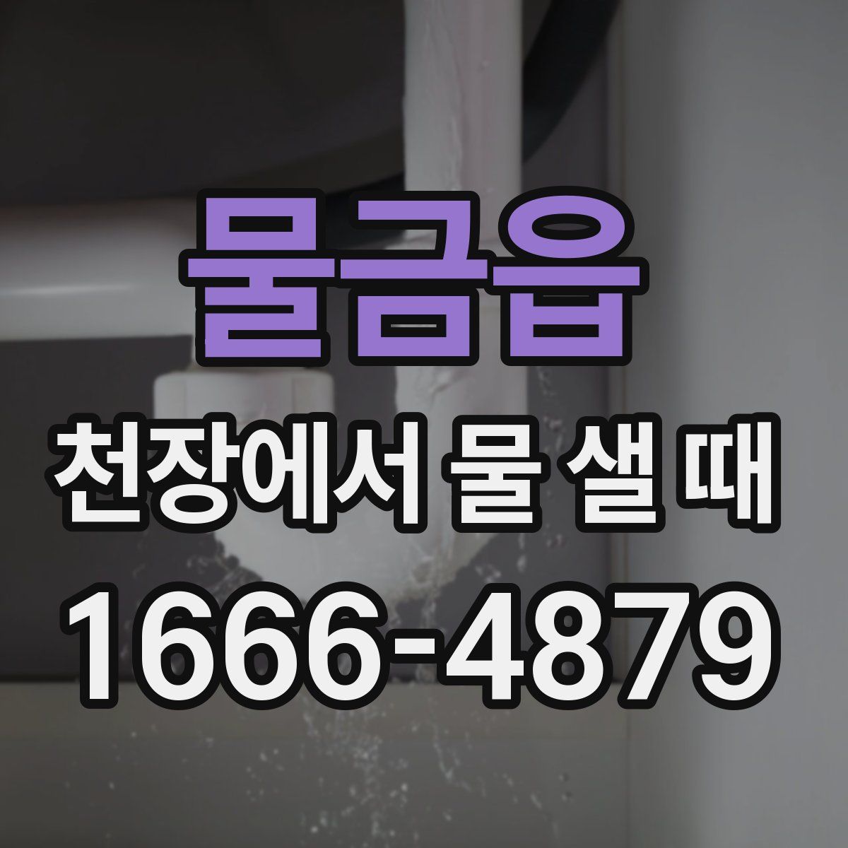 물금읍 천장에서 물 샐 때