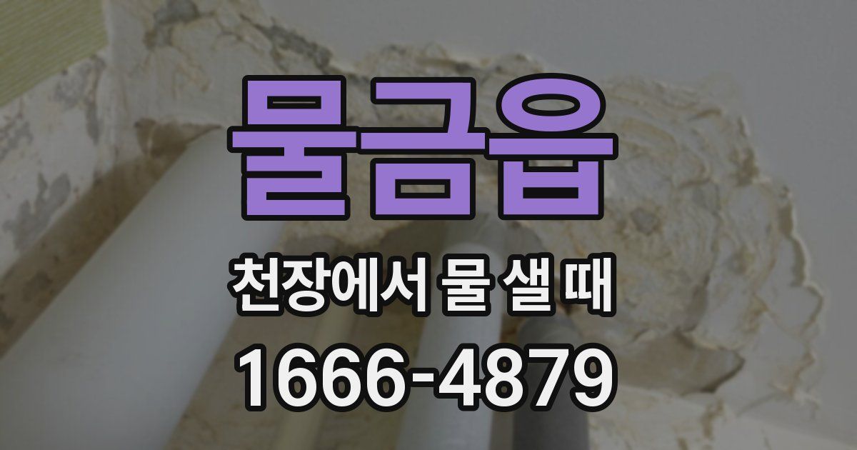 물금읍 천장에서 물 샐 때