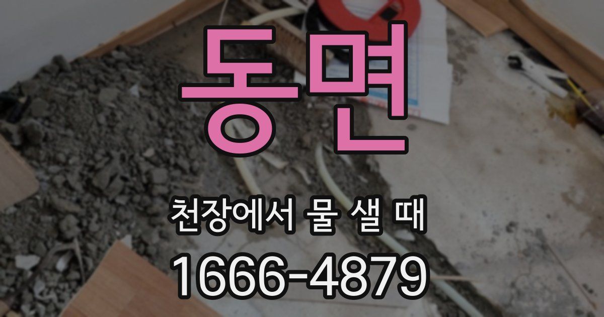 동면 천장에서 물 샐 때