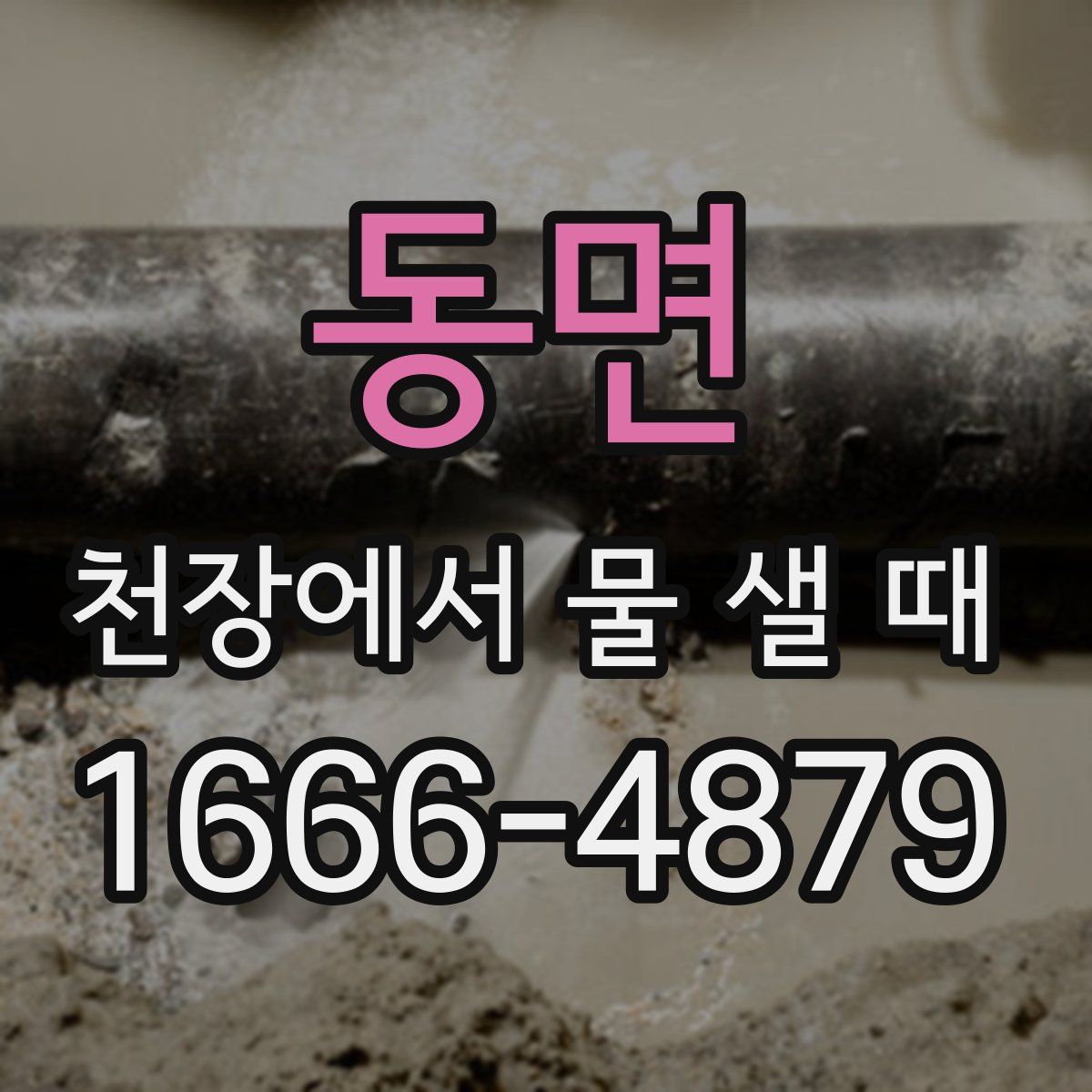 동면 천장에서 물 샐 때