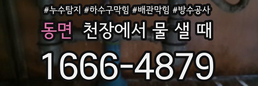 동면 천장에서 물 샐 때