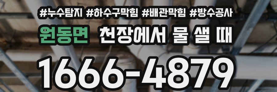 원동면 천장에서 물 샐 때