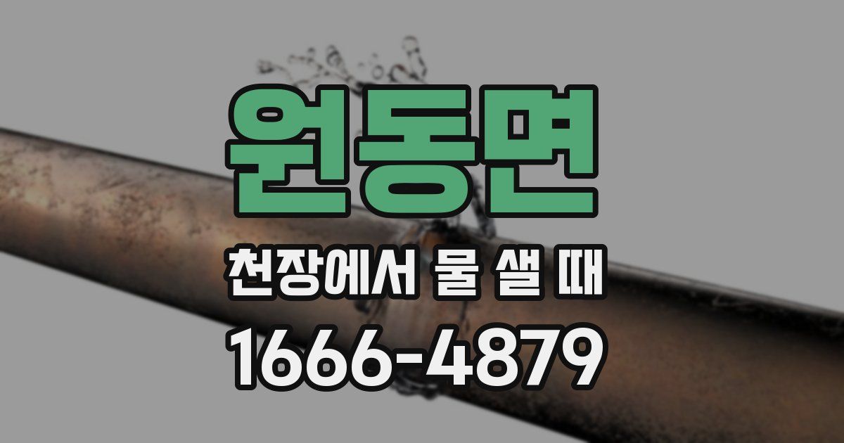 원동면 천장에서 물 샐 때