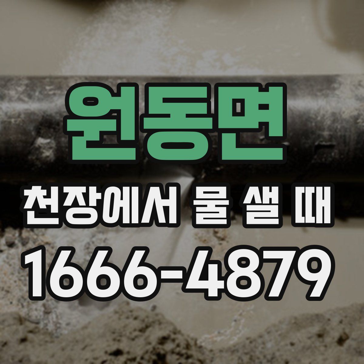 원동면 천장에서 물 샐 때