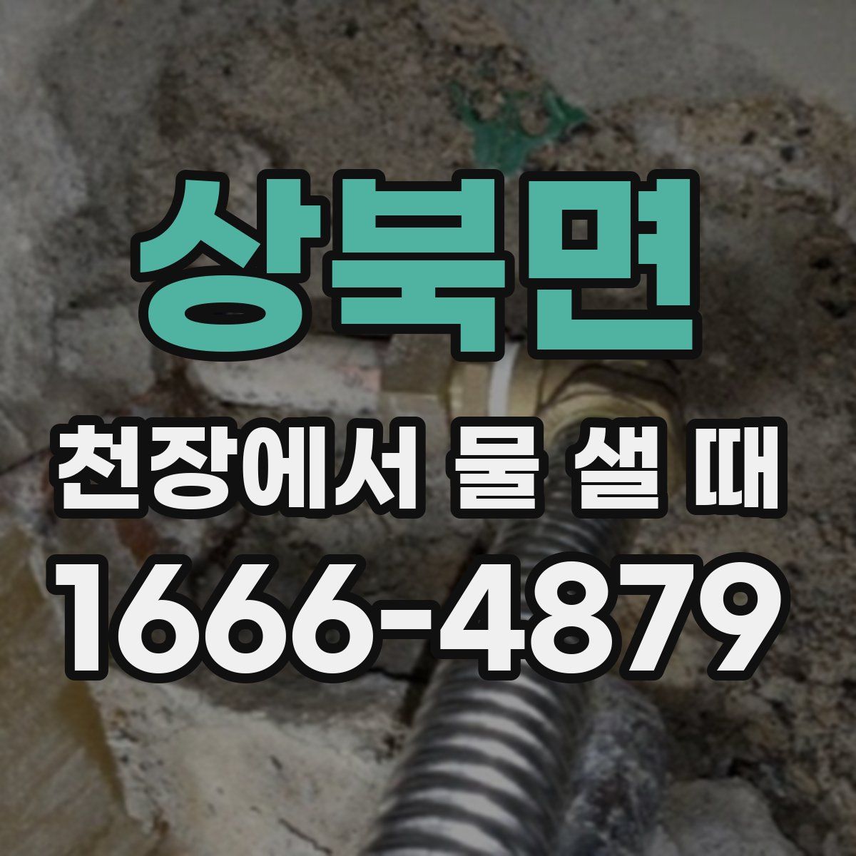 상북면 천장에서 물 샐 때