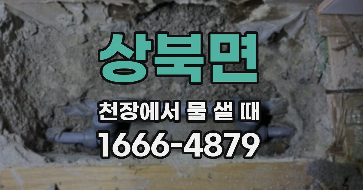 상북면 천장에서 물 샐 때