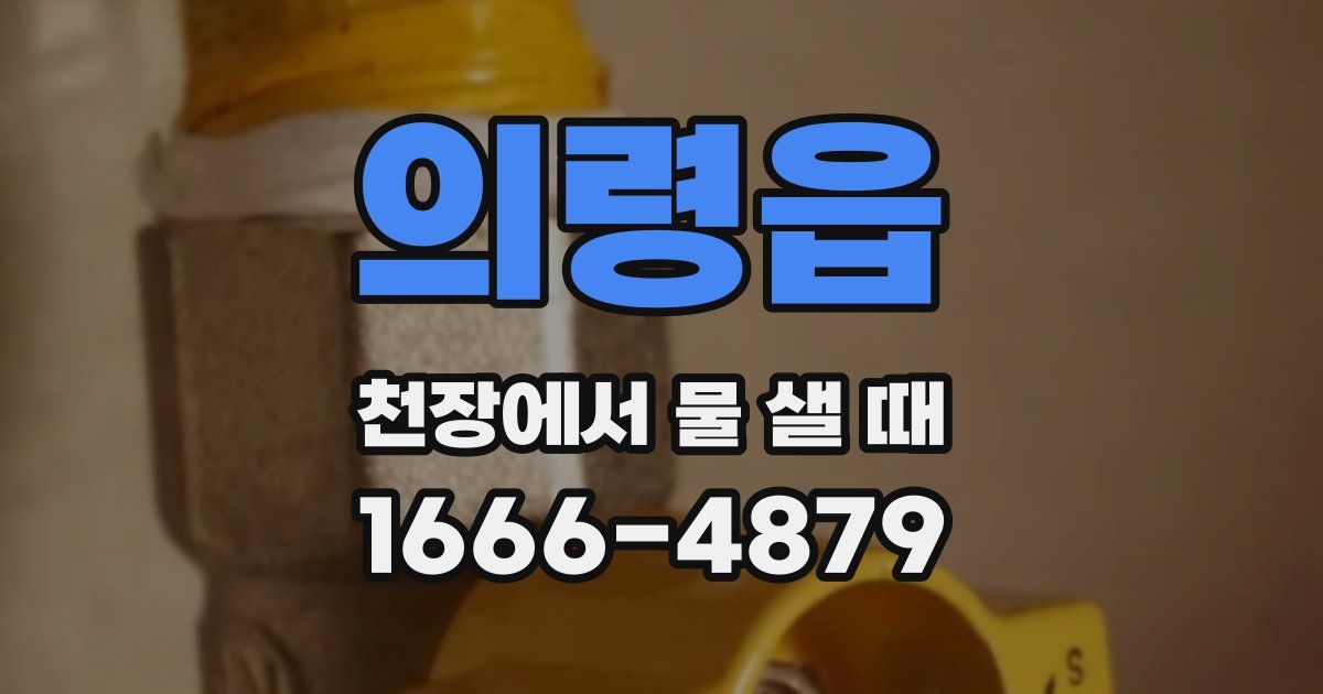 의령읍 천장에서 물 샐 때